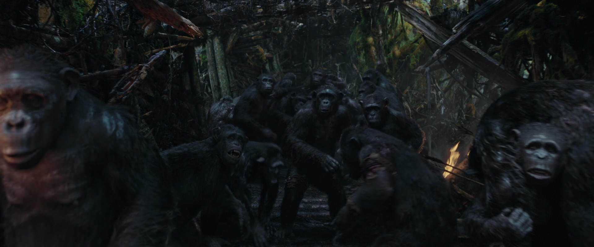 War for the Planet of the Apes (2017) movie still 793