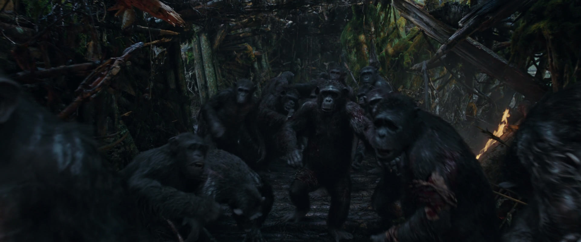 War for the Planet of the Apes (2017) HD screenshot 794
