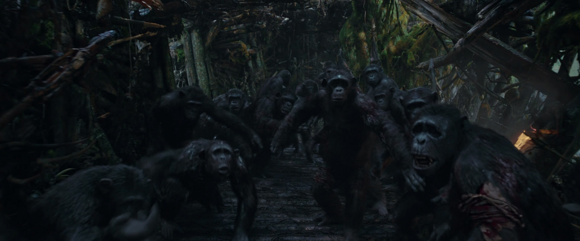War for the Planet of the Apes (2017) screencap 795