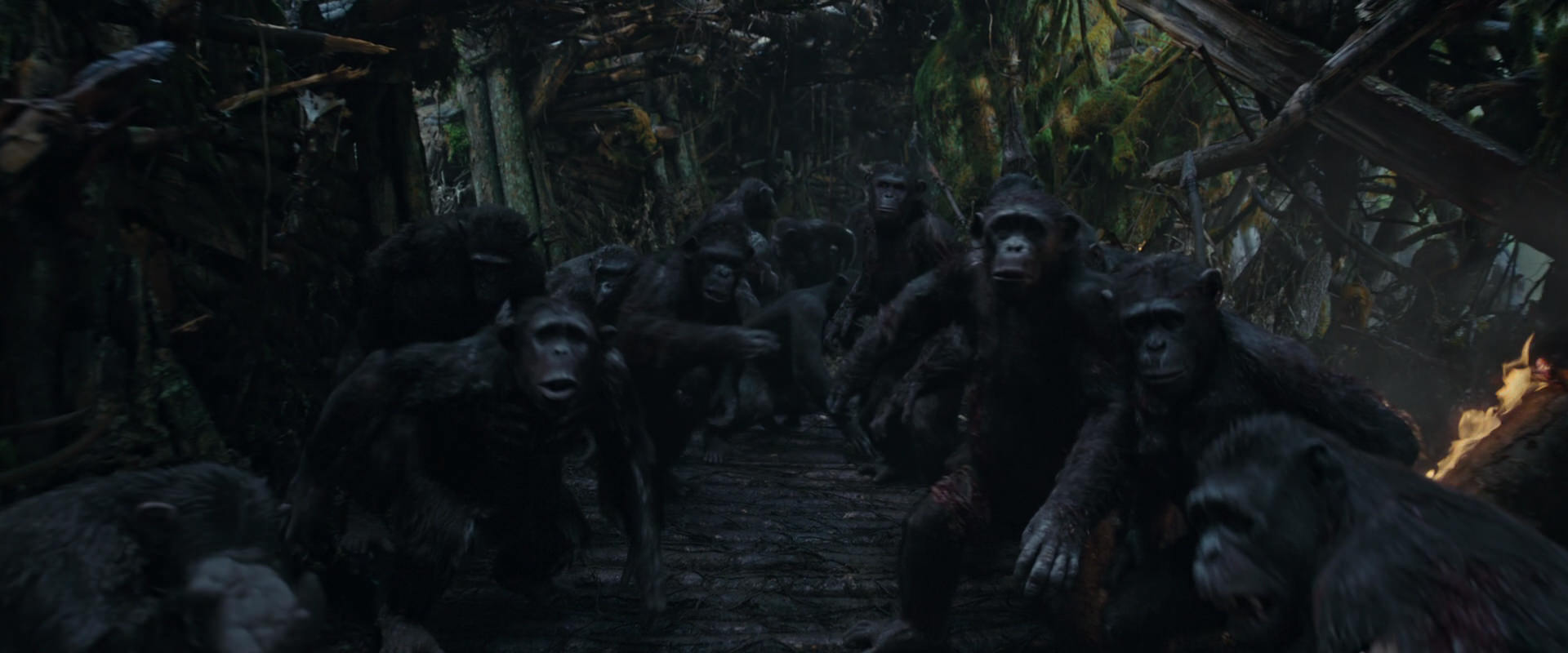 War for the Planet of the Apes (2017) movie still 796