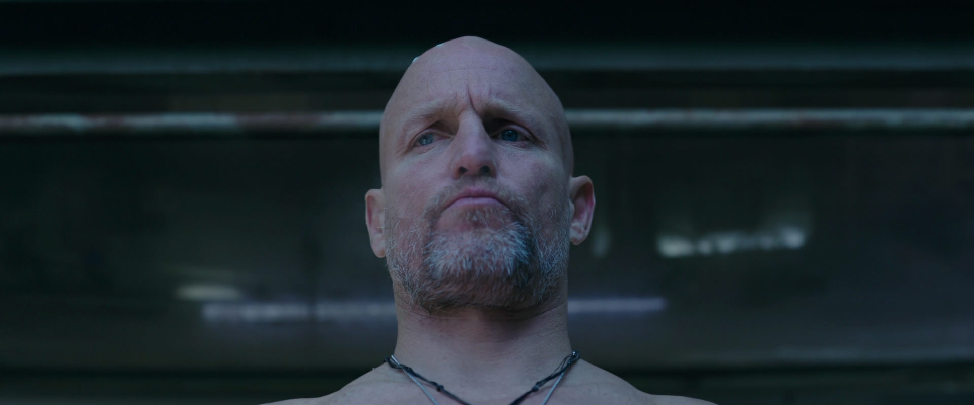 War for the Planet of the Apes (2017) screencap 7962