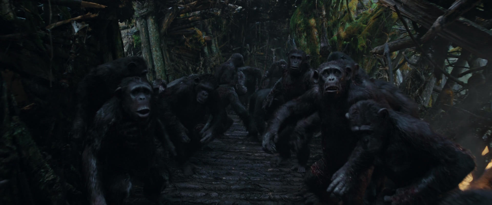 War for the Planet of the Apes (2017) HD screenshot 797