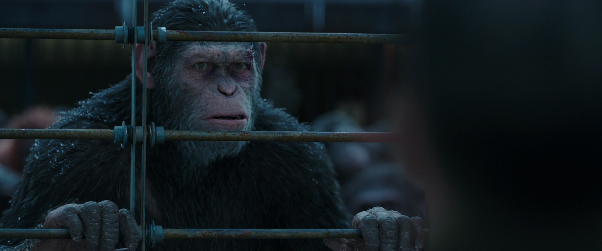 War for the Planet of the Apes (2017) screencap 7974
