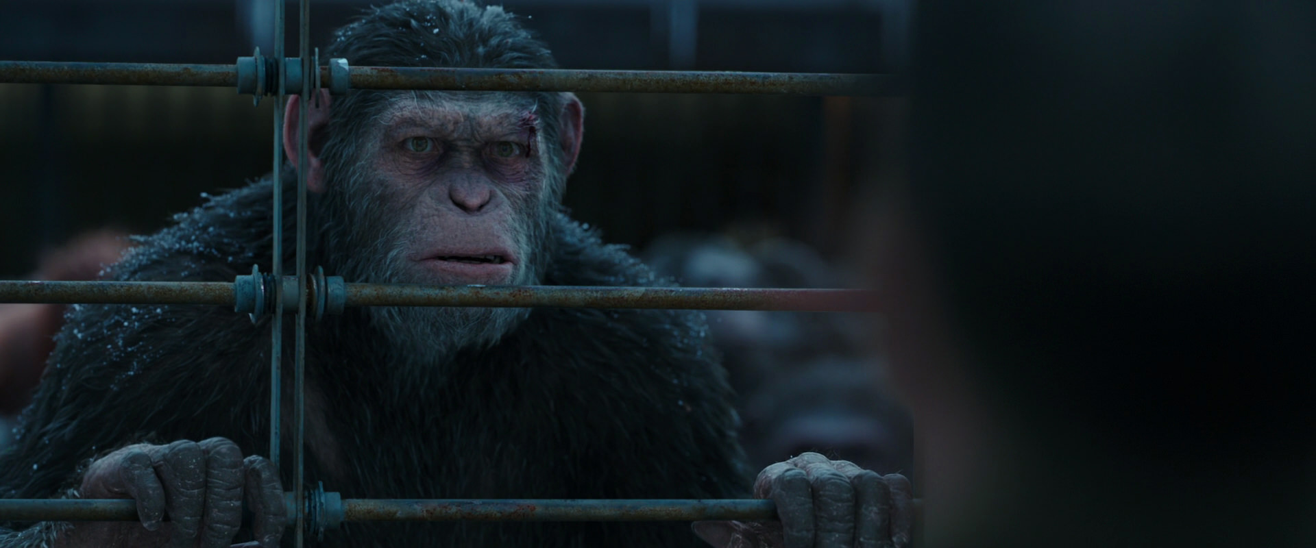 War for the Planet of the Apes (2017) movie still 7975