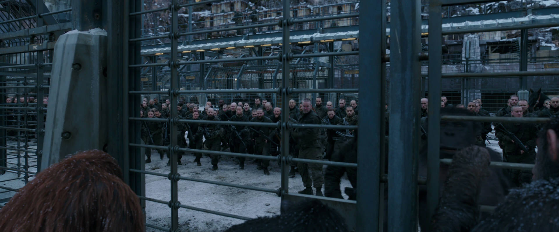 War for the Planet of the Apes (2017) screencap 7977