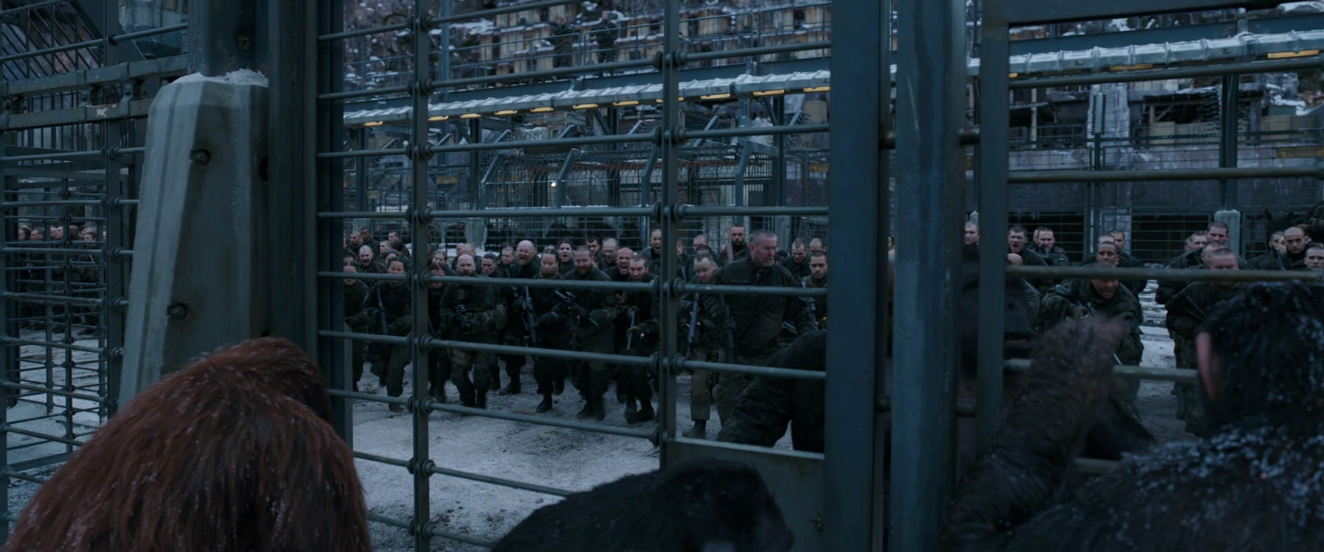 War for the Planet of the Apes (2017) movie still 7978
