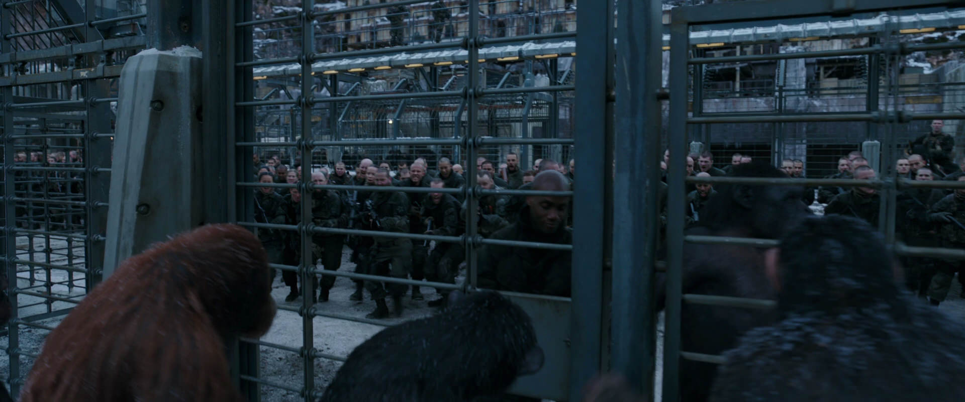War for the Planet of the Apes (2017) HD screenshot 7979