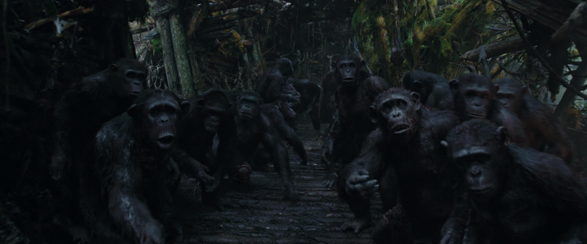 War for the Planet of the Apes (2017) screencap 798