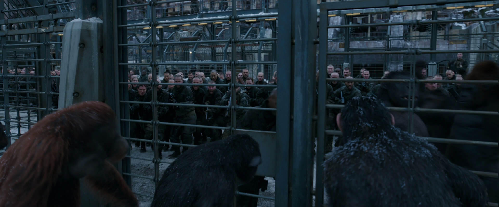 War for the Planet of the Apes (2017) screencap 7980