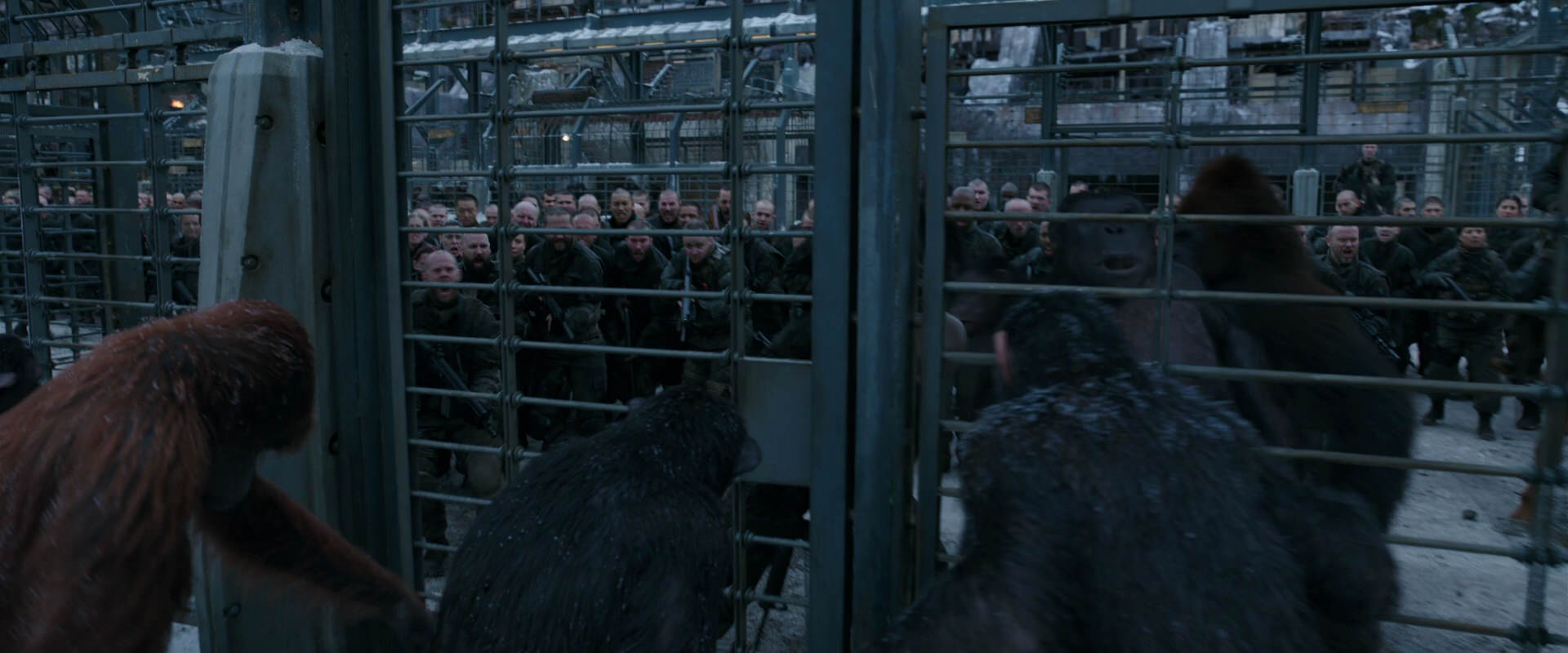 War for the Planet of the Apes (2017) movie still 7981