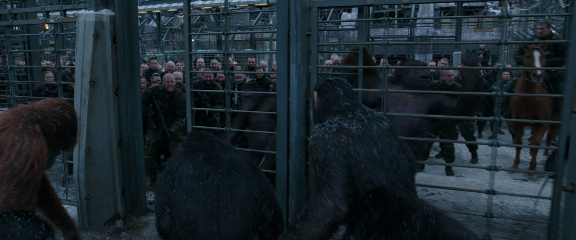 War for the Planet of the Apes (2017) HD screenshot 7982