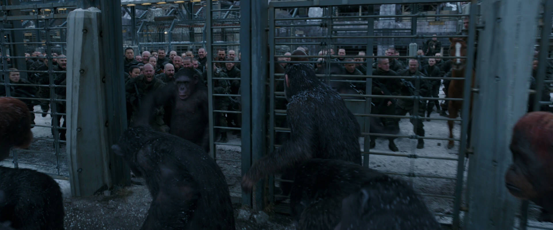 War for the Planet of the Apes (2017) screencap 7983