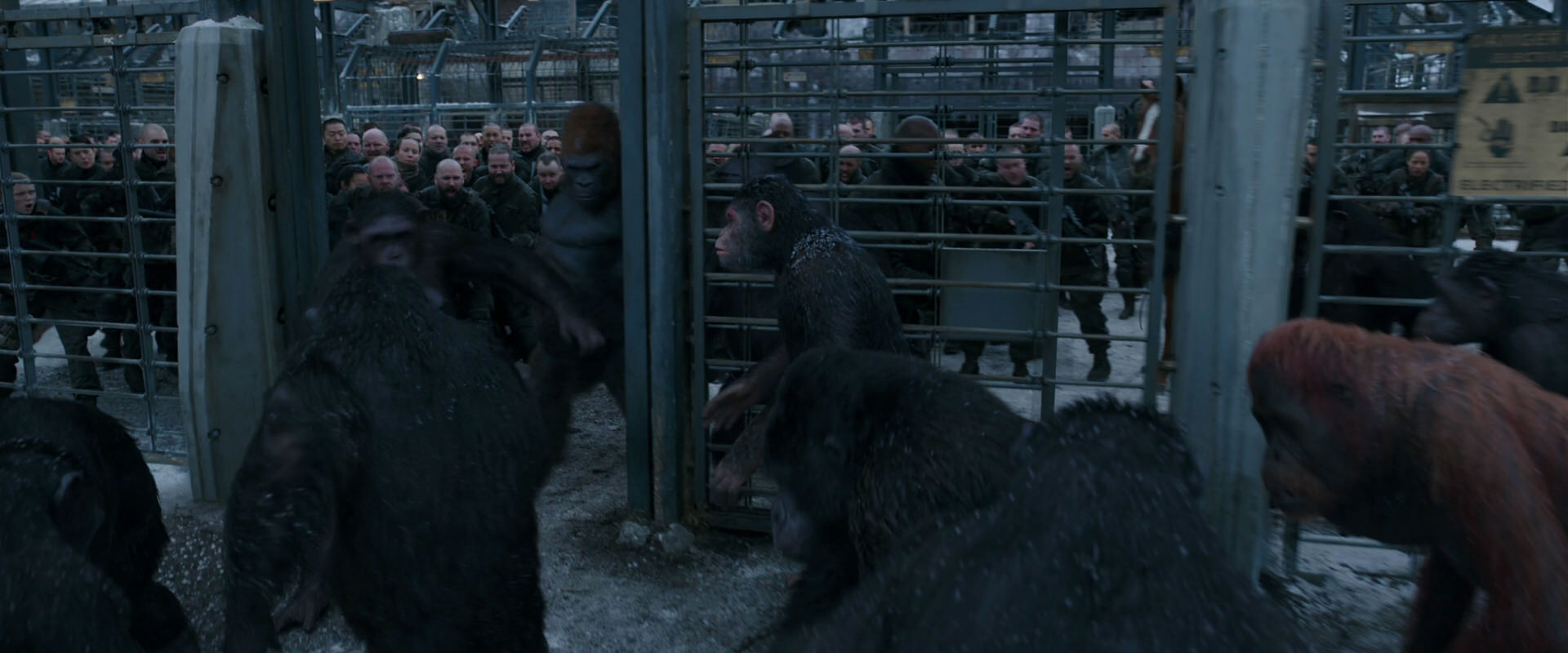 War for the Planet of the Apes (2017) movie still 7984