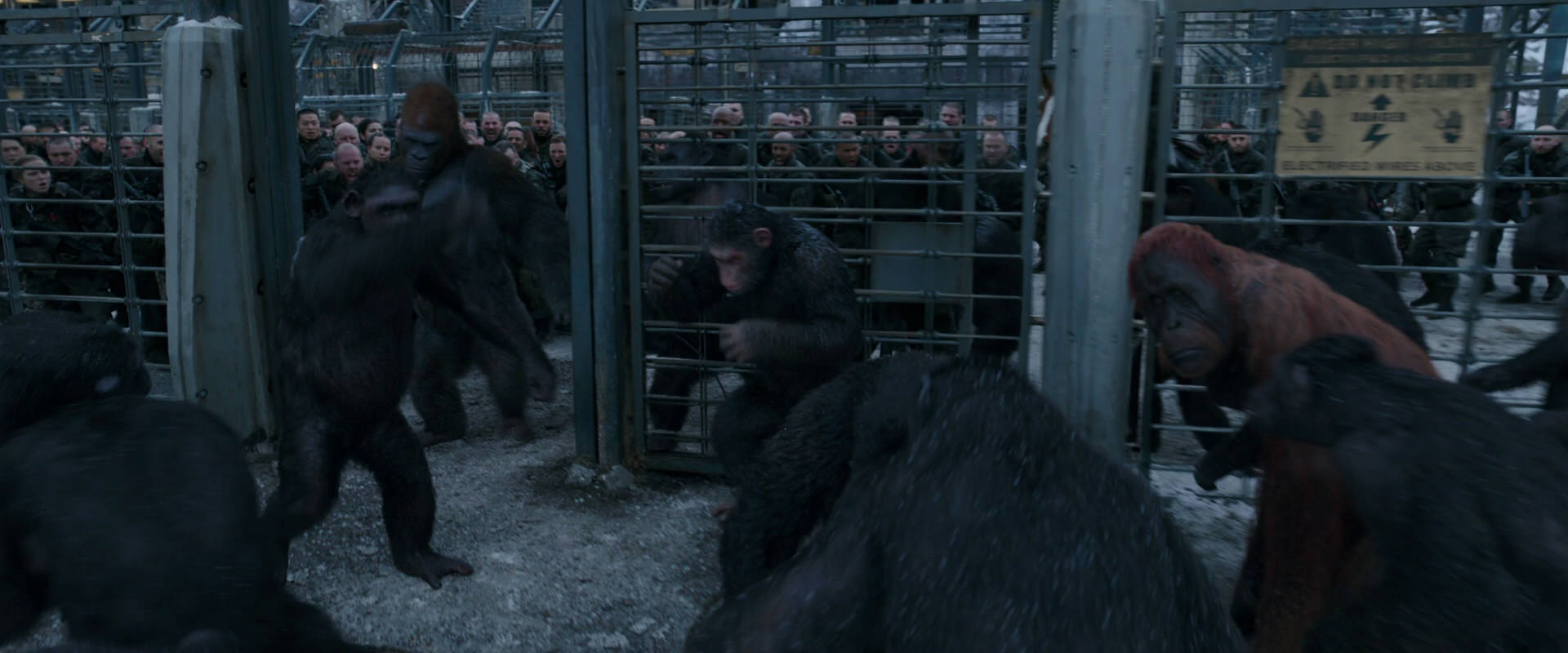 War for the Planet of the Apes (2017) HD screenshot 7985