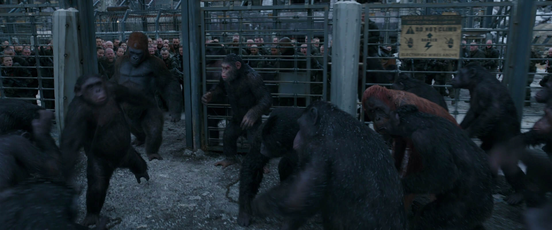 War for the Planet of the Apes (2017) screencap 7986