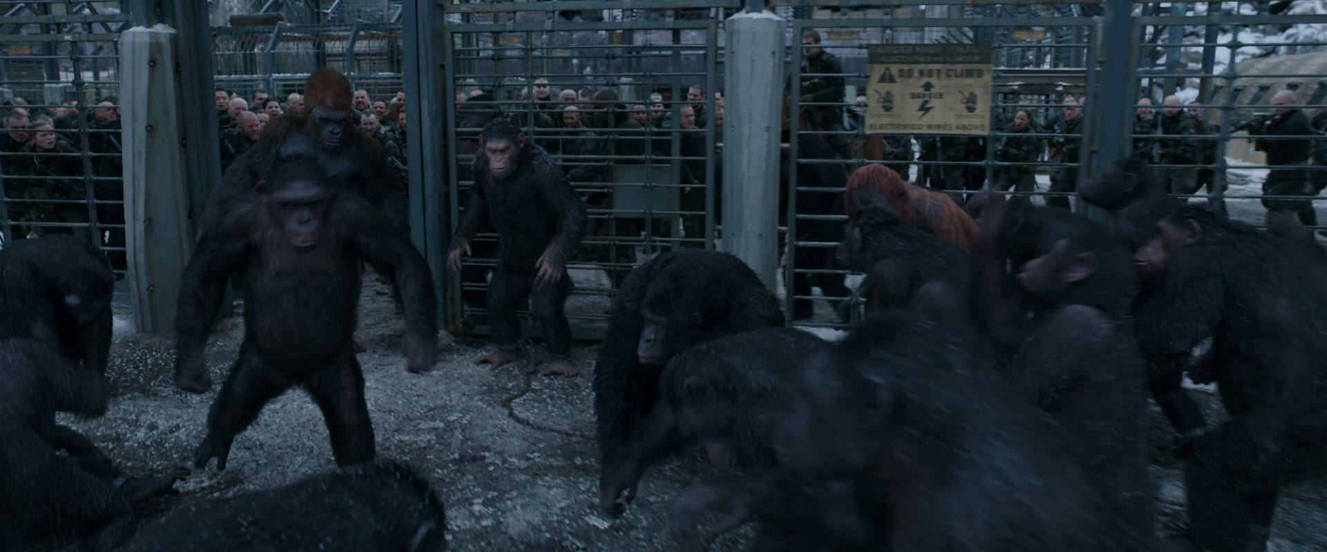 War for the Planet of the Apes (2017) movie still 7987