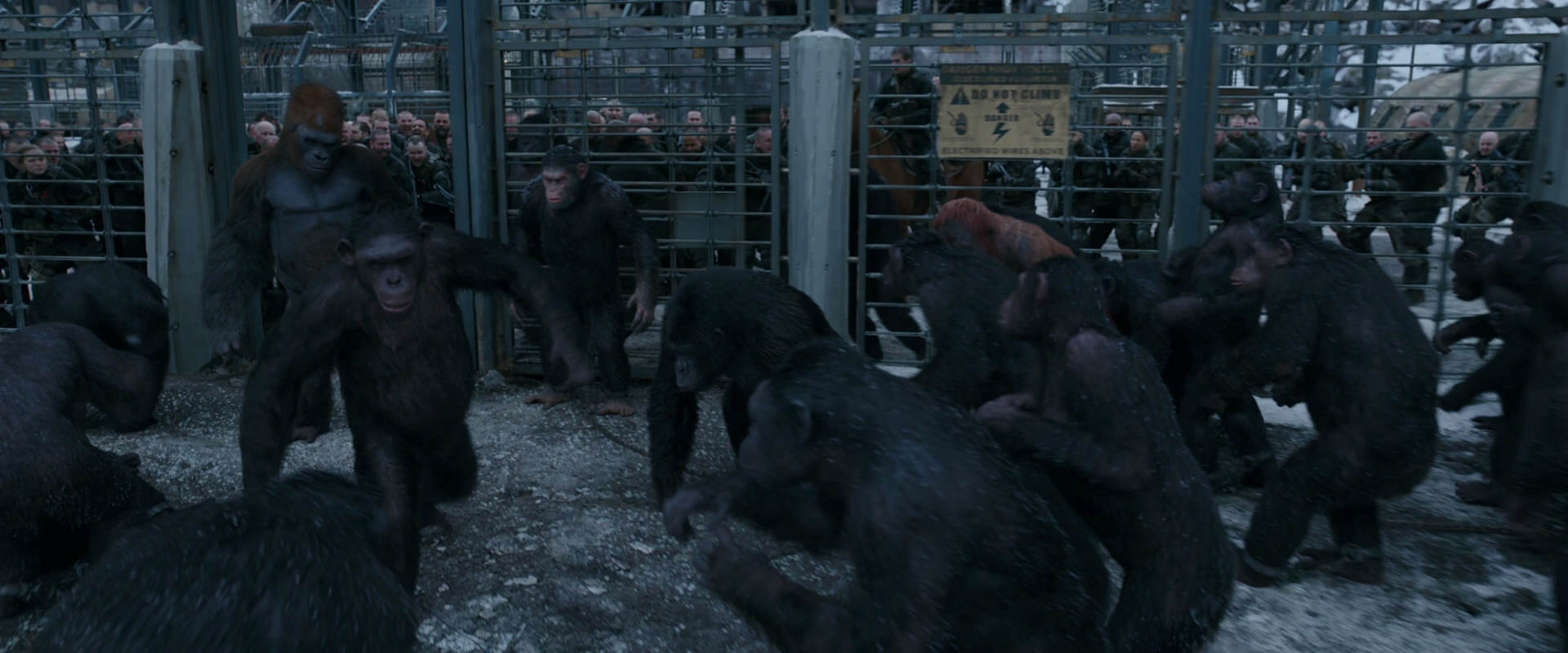 War for the Planet of the Apes (2017) HD screenshot 7988