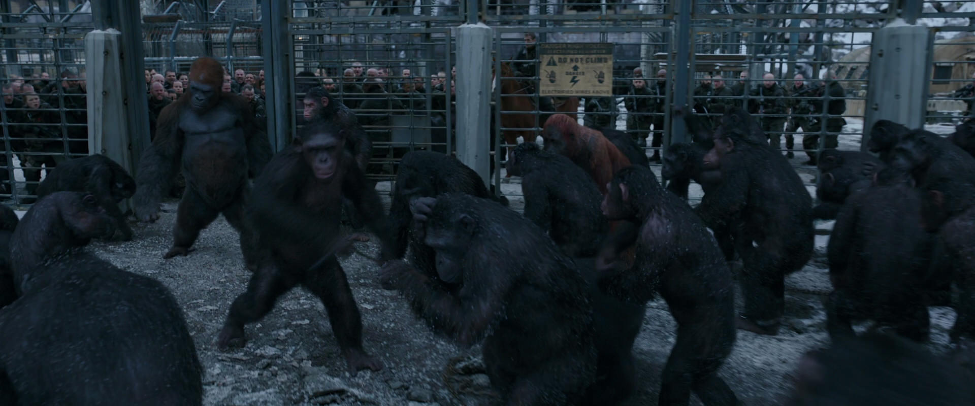 War for the Planet of the Apes (2017) screencap 7989