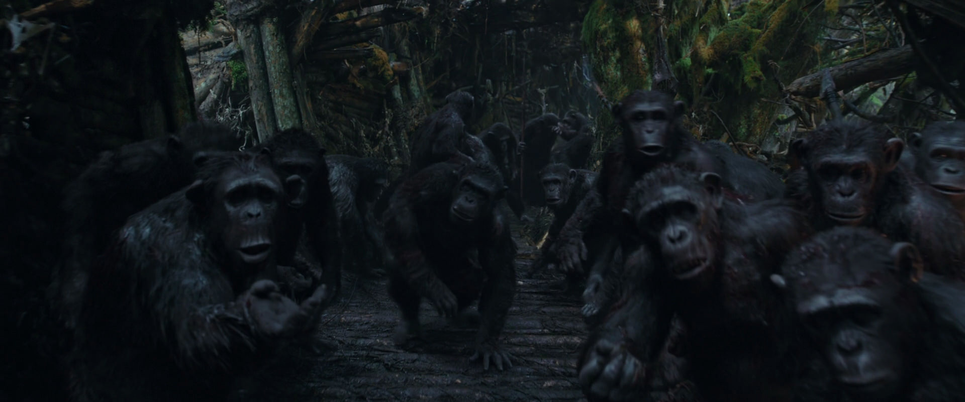 War for the Planet of the Apes (2017) movie still 799