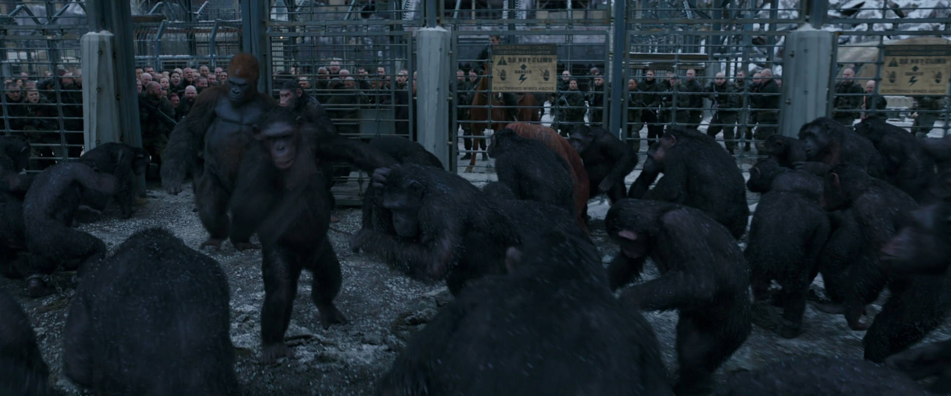 War for the Planet of the Apes (2017) movie still 7990