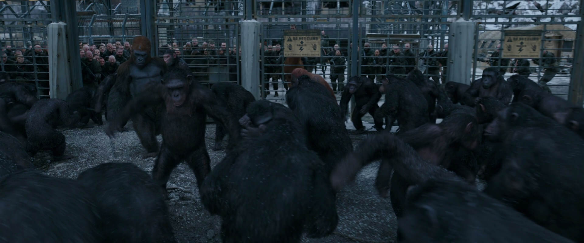 War for the Planet of the Apes (2017) HD screenshot 7991