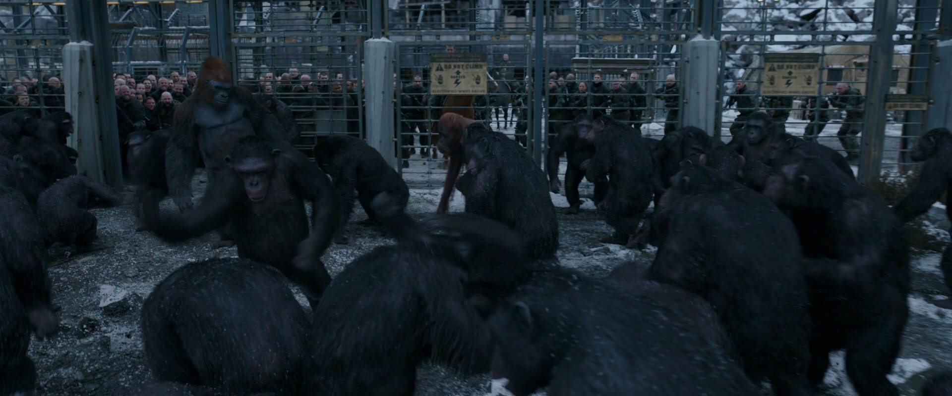 War for the Planet of the Apes (2017) screencap 7992