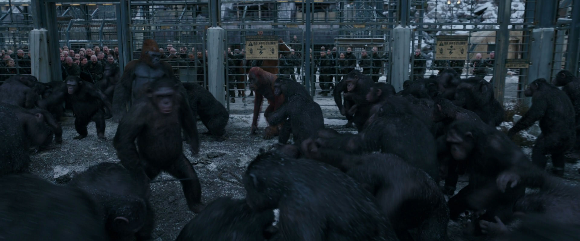 War for the Planet of the Apes (2017) movie still 7993