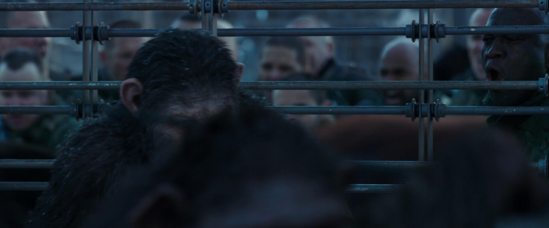War for the Planet of the Apes (2017) screencap 7995