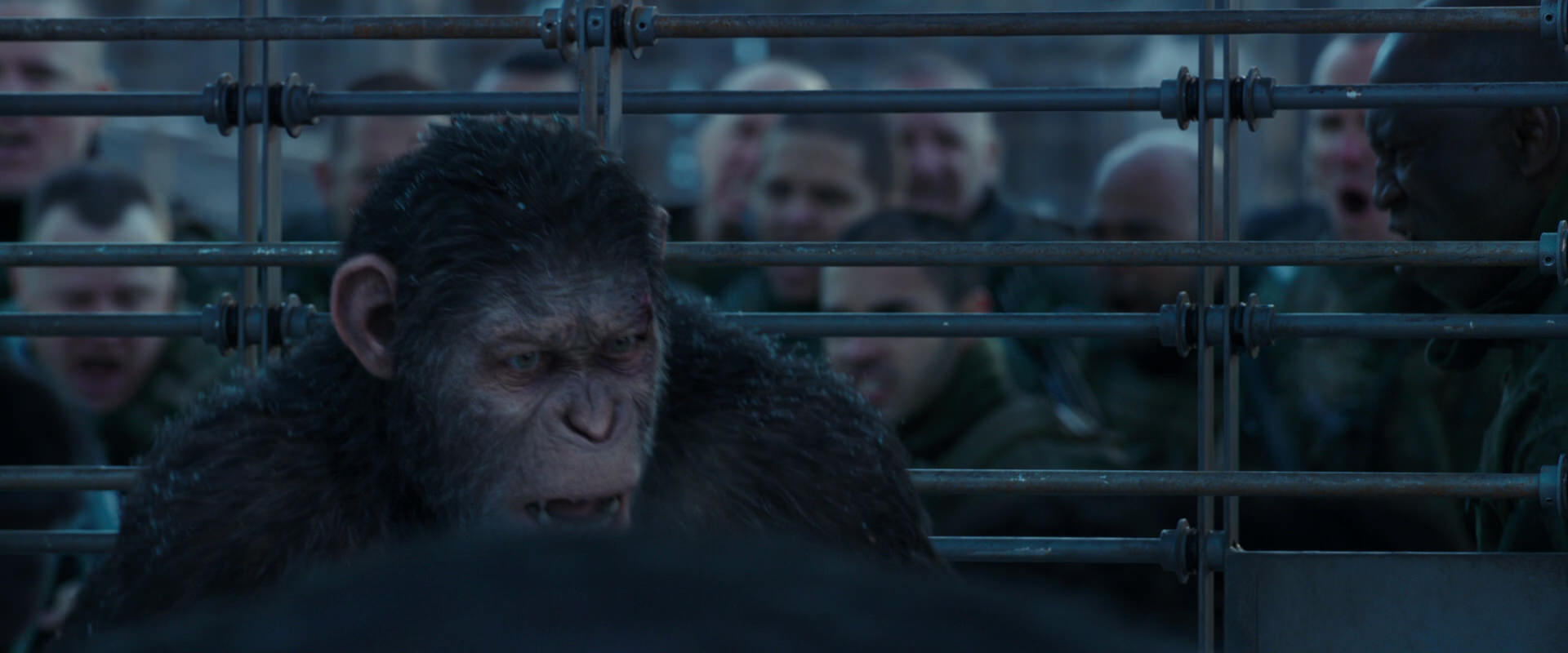 War for the Planet of the Apes (2017) screencap 7998