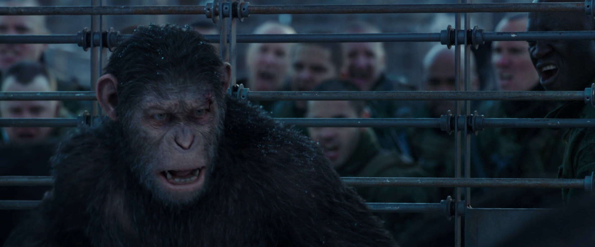 War for the Planet of the Apes (2017) movie still 7999