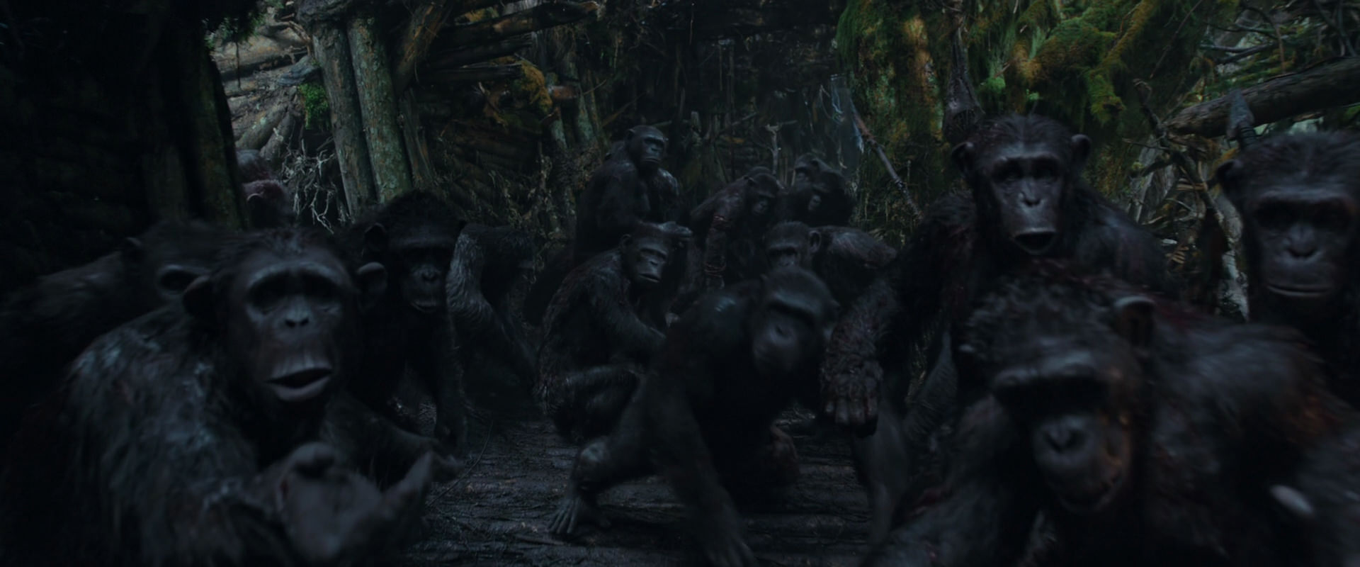 War for the Planet of the Apes (2017) HD screenshot 800