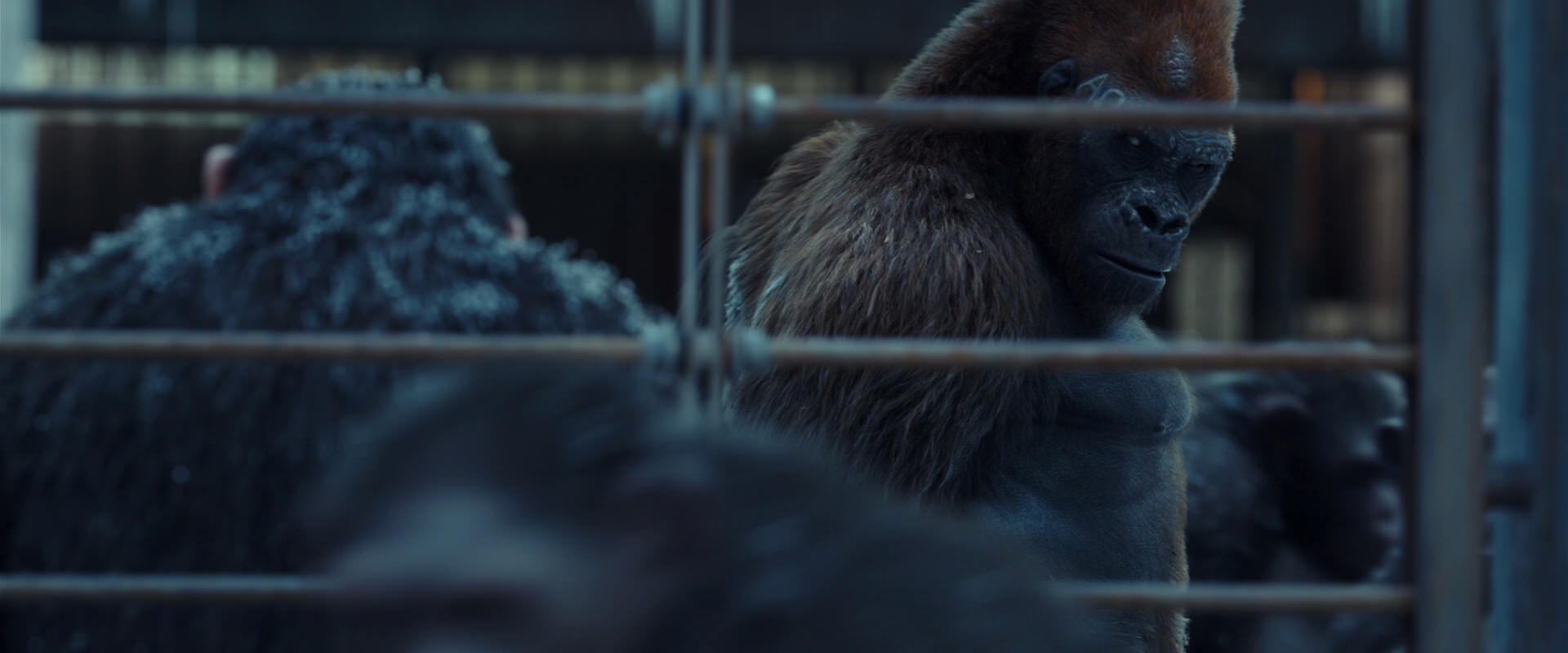 War for the Planet of the Apes (2017) movie still 8002