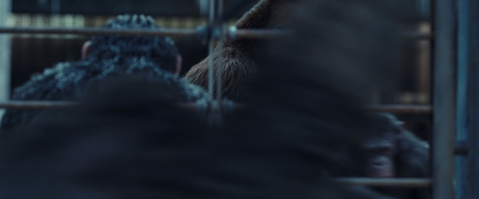 War for the Planet of the Apes (2017) movie still 8005