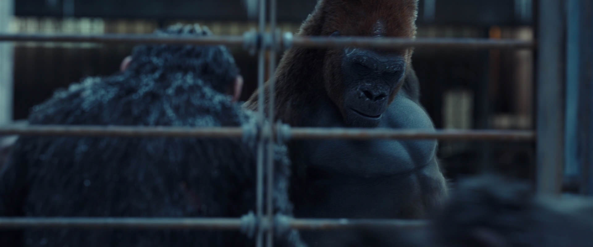 War for the Planet of the Apes (2017) HD screenshot 8006