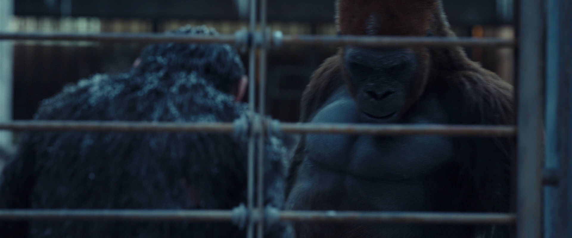 War for the Planet of the Apes (2017) movie still 8008