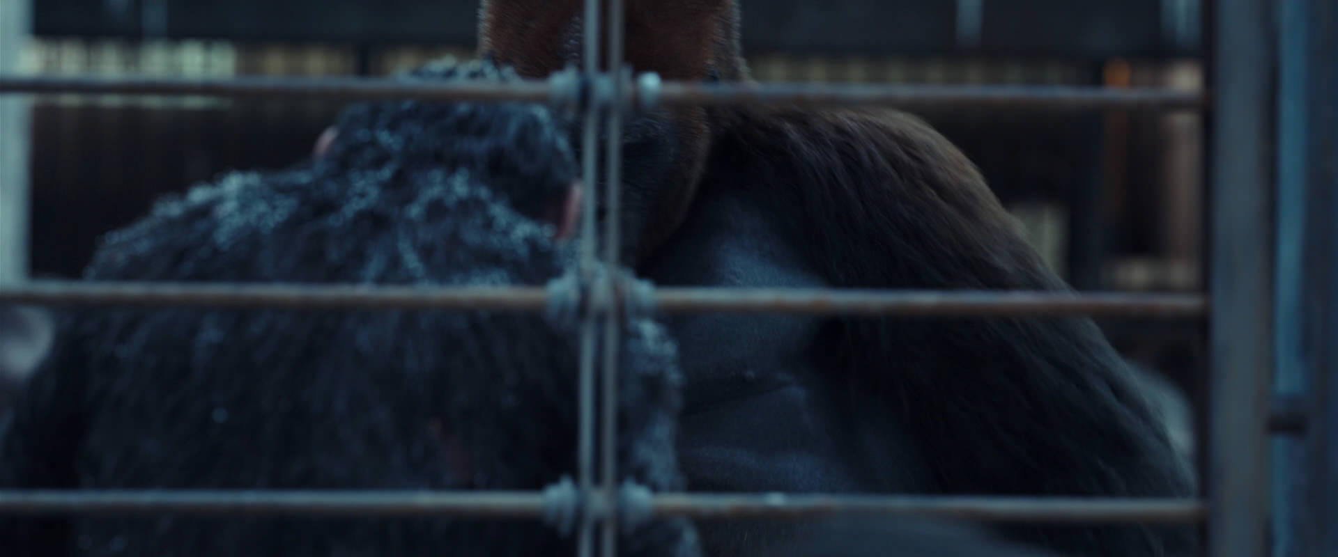 War for the Planet of the Apes (2017) HD screenshot 8009