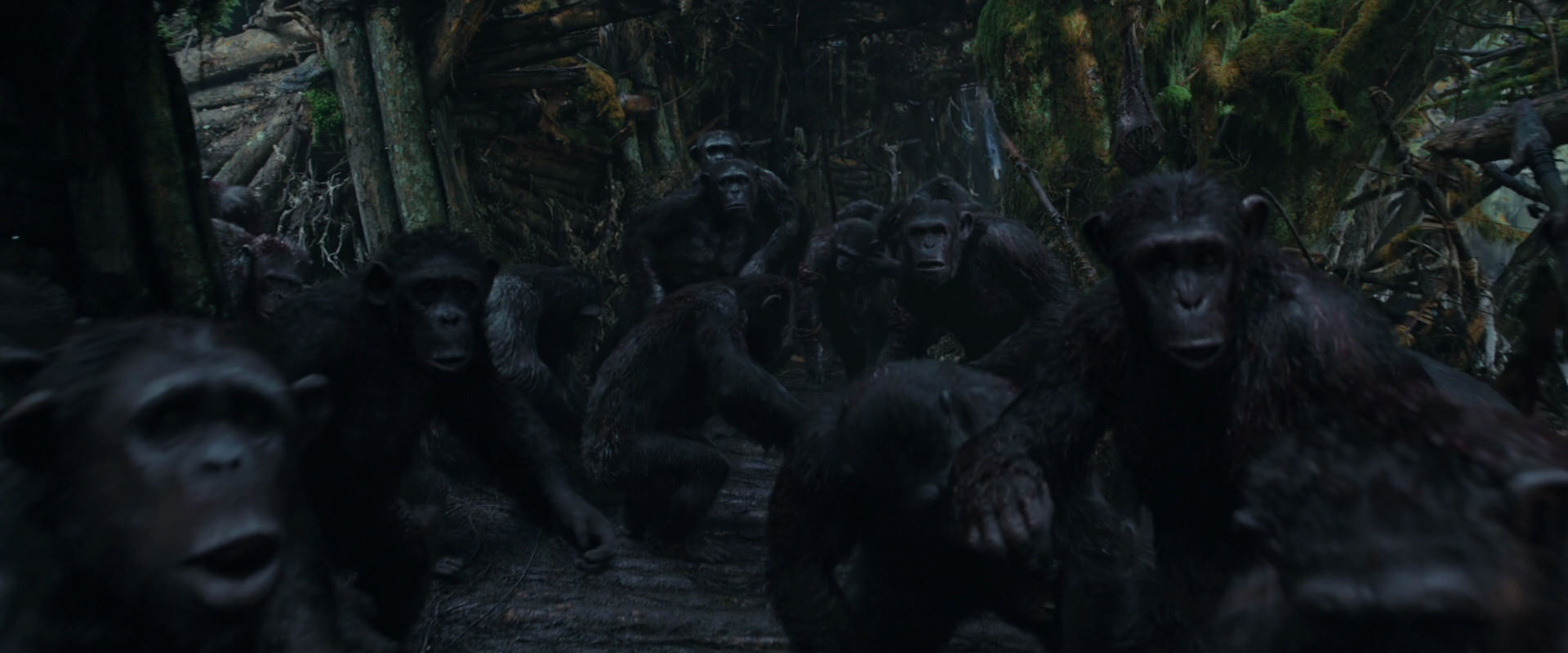 War for the Planet of the Apes (2017) screencap 801