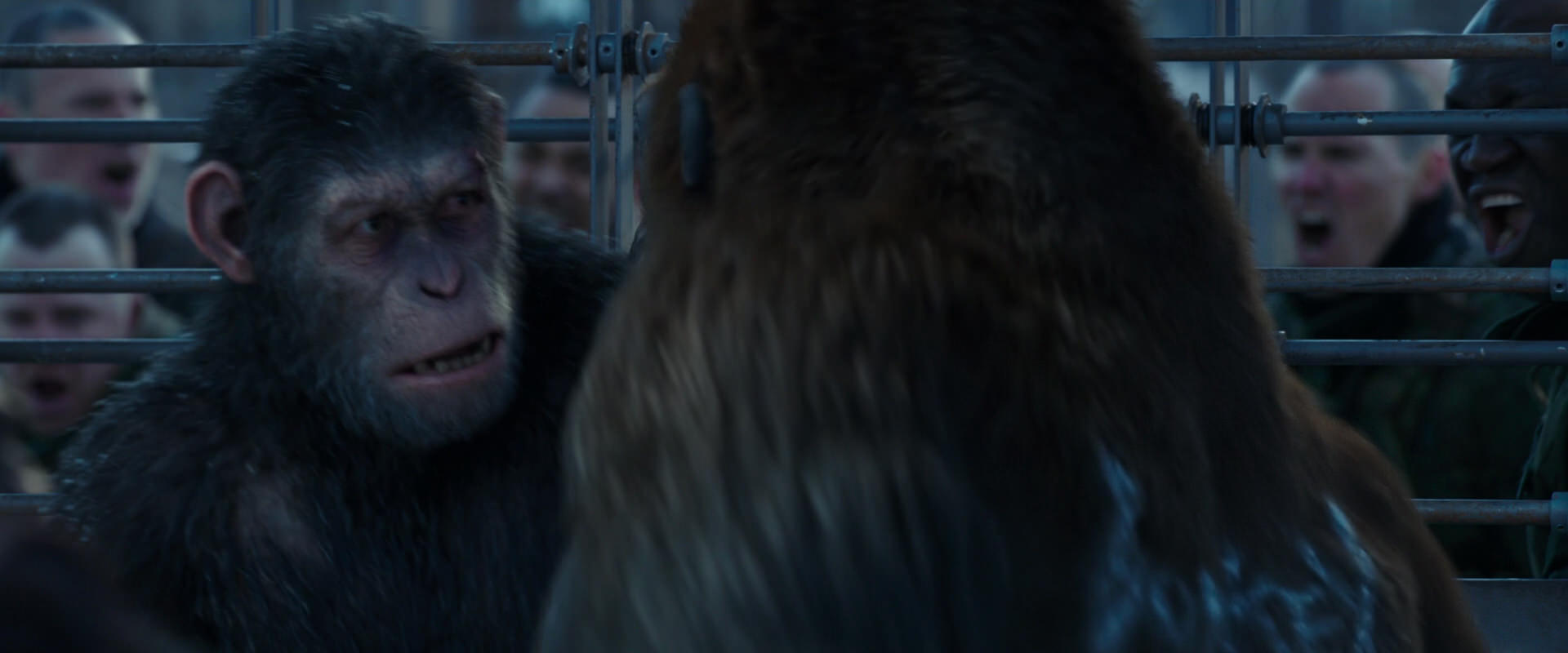War for the Planet of the Apes (2017) movie still 8011