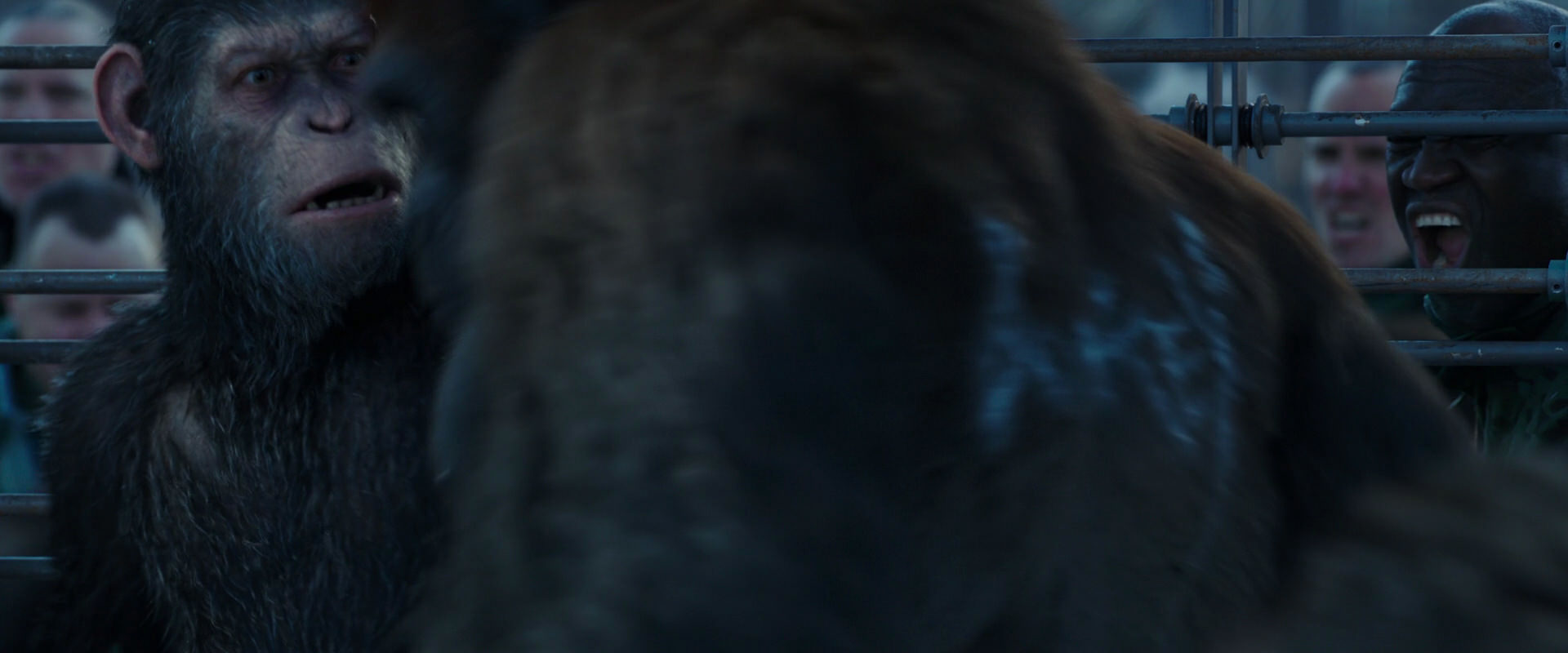 War for the Planet of the Apes (2017) HD screenshot 8012