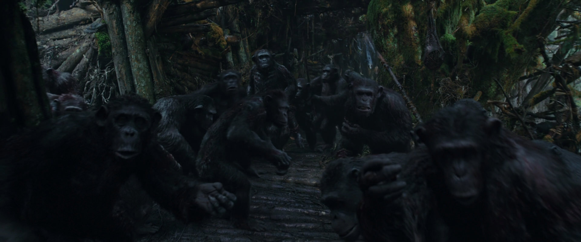War for the Planet of the Apes (2017) movie still 802