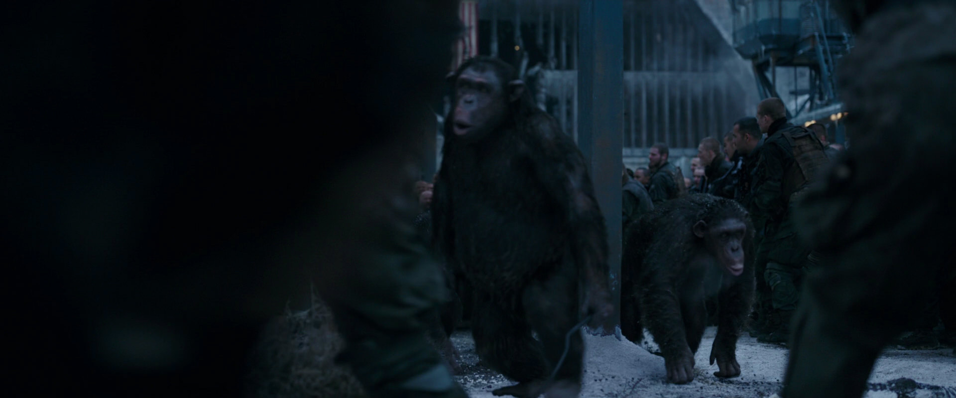 War for the Planet of the Apes (2017) movie still 8020