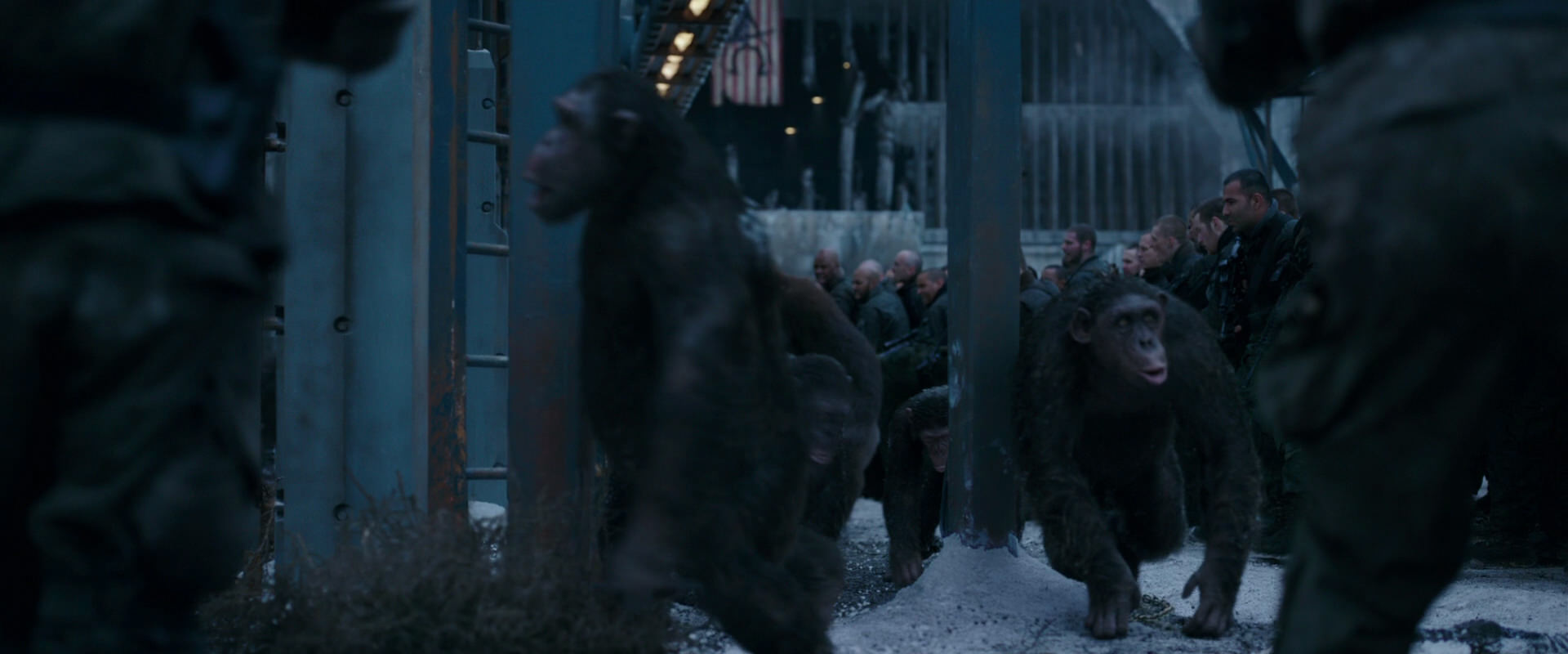 War for the Planet of the Apes (2017) HD screenshot 8021