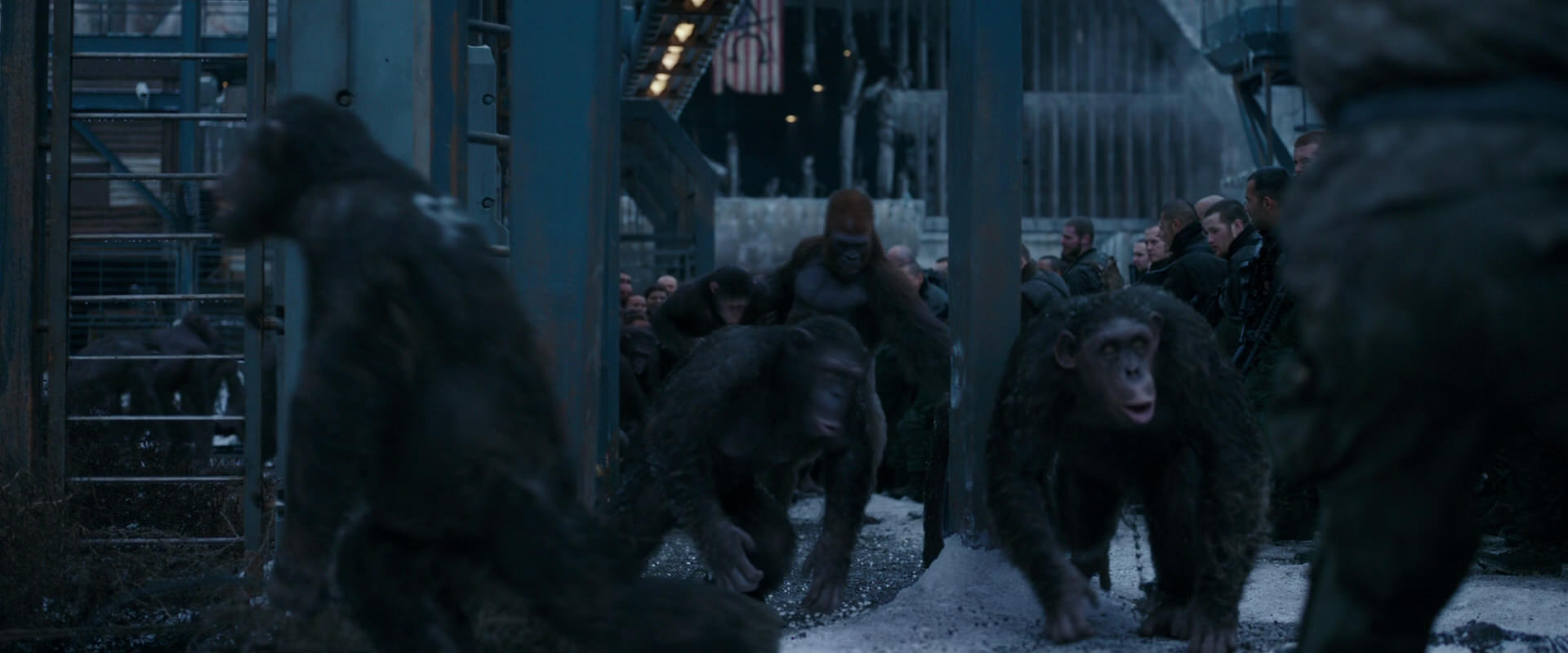 War for the Planet of the Apes (2017) screencap 8022