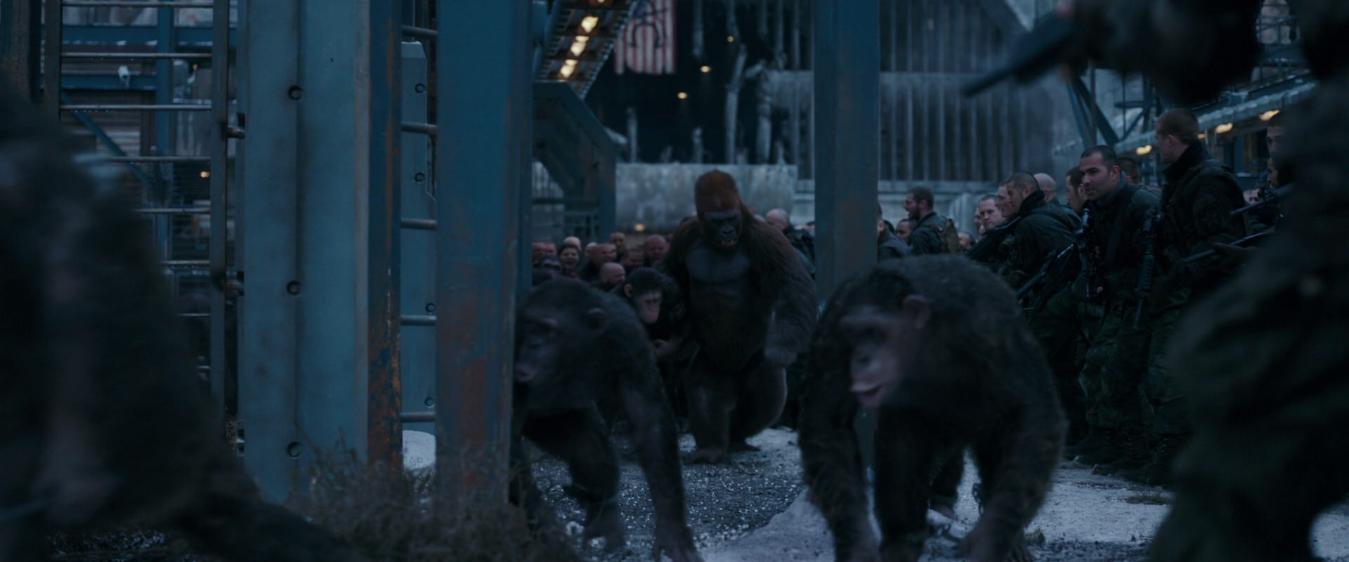 War for the Planet of the Apes (2017) movie still 8023