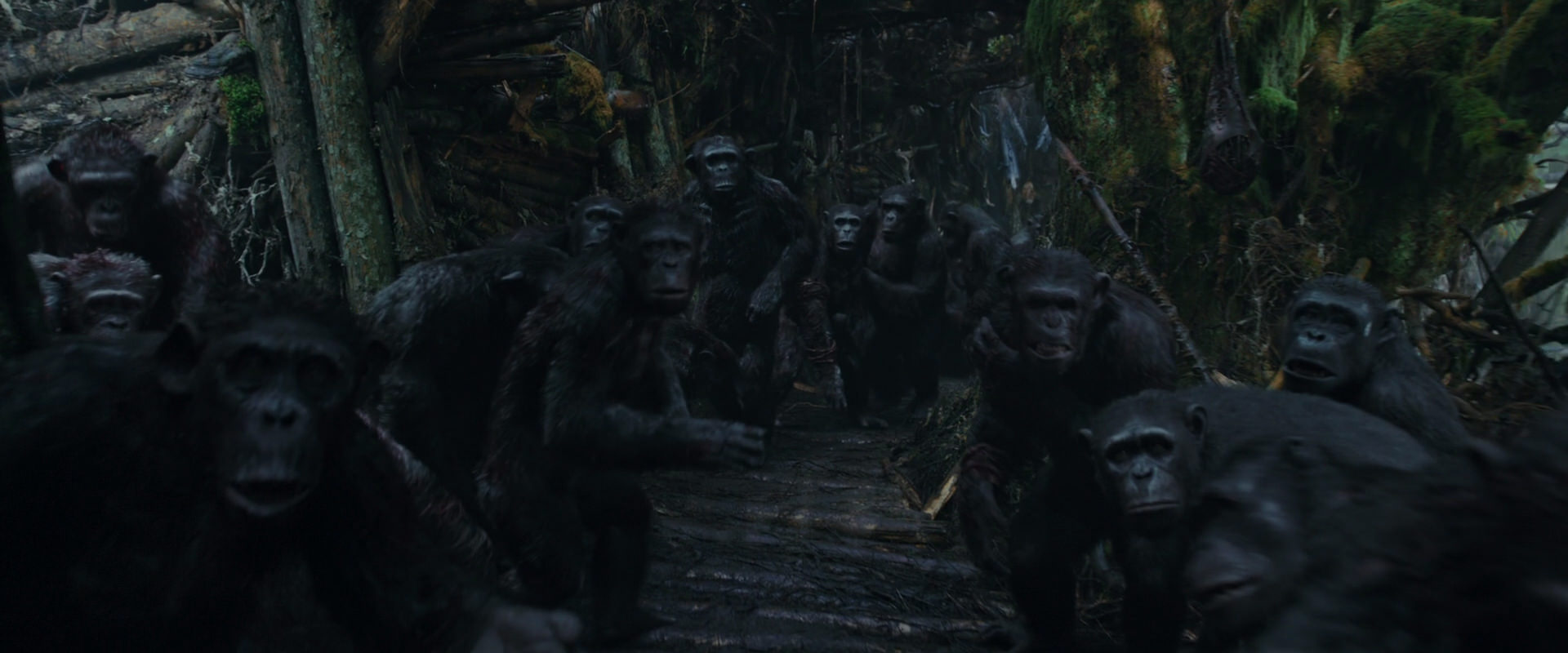 War for the Planet of the Apes (2017) HD screenshot 803
