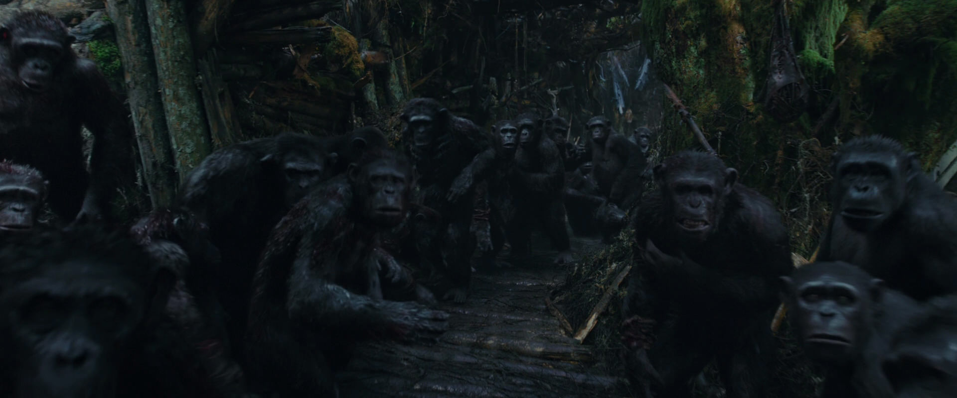 War for the Planet of the Apes (2017) screencap 804