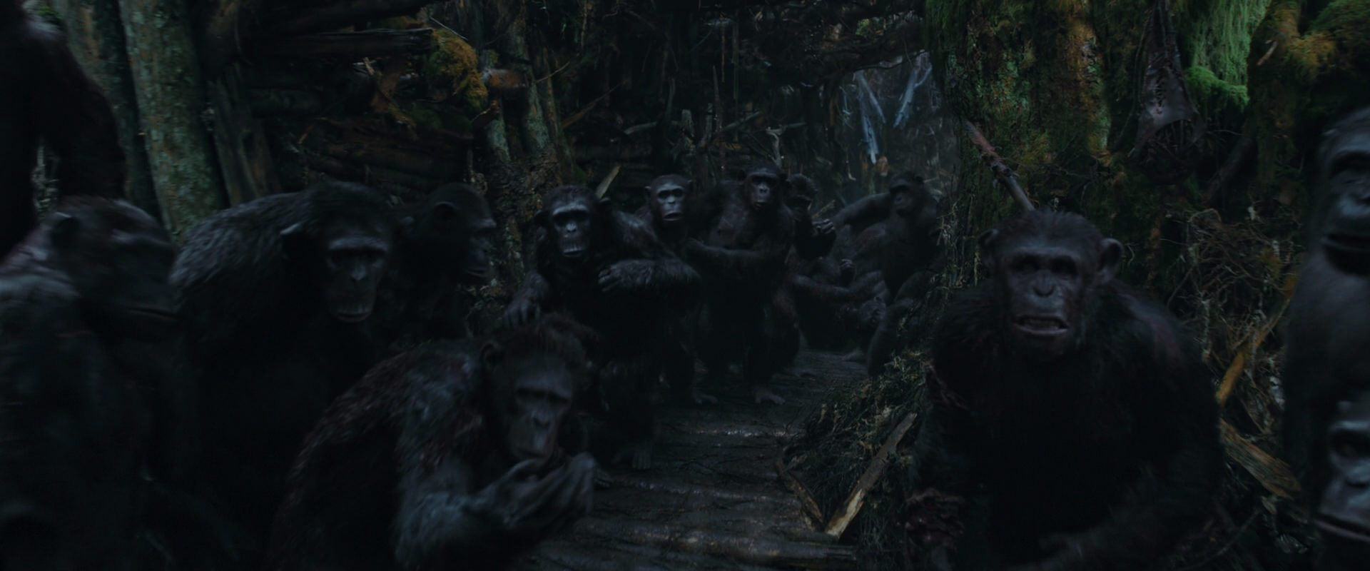 War for the Planet of the Apes (2017) movie still 805