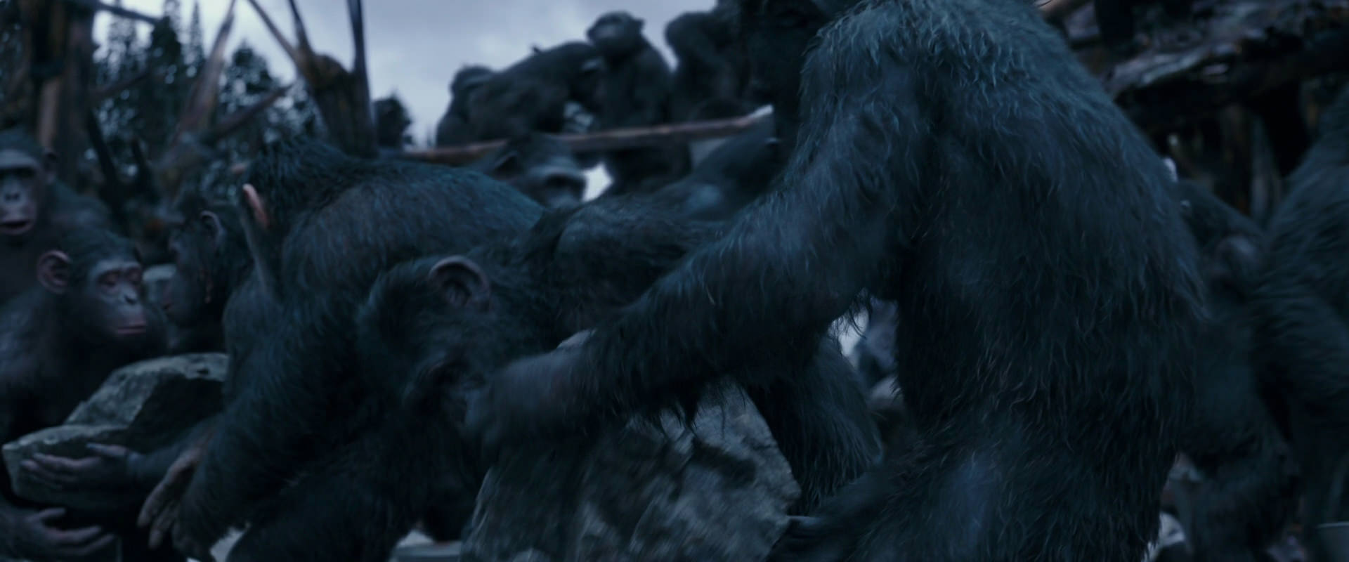 War for the Planet of the Apes (2017) screencap 8073