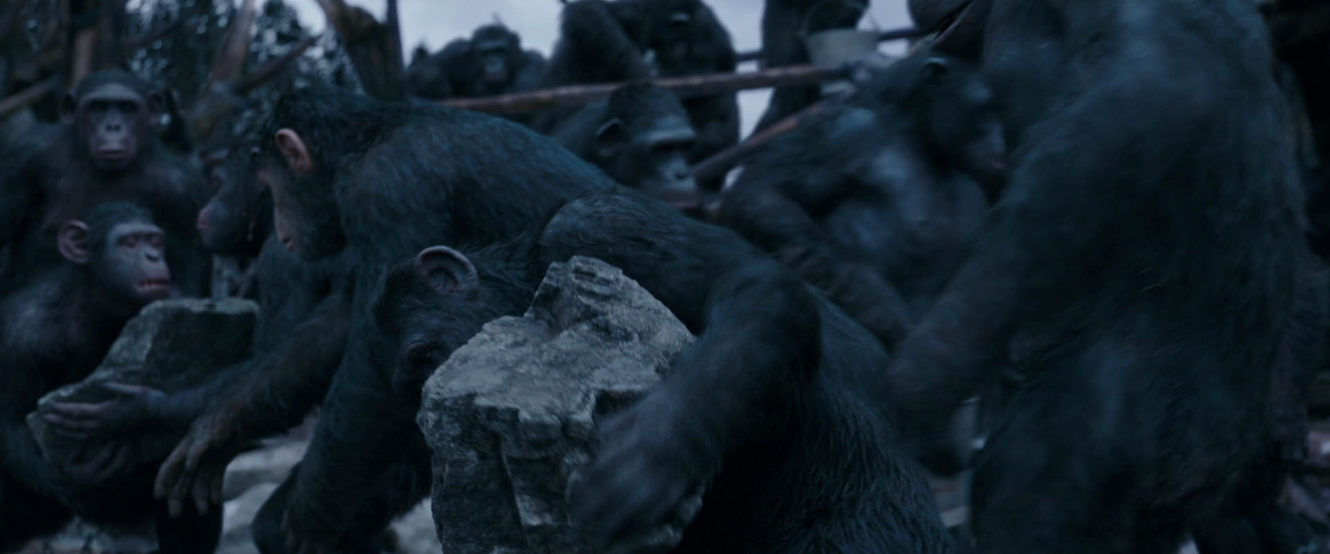 War for the Planet of the Apes (2017) movie still 8074