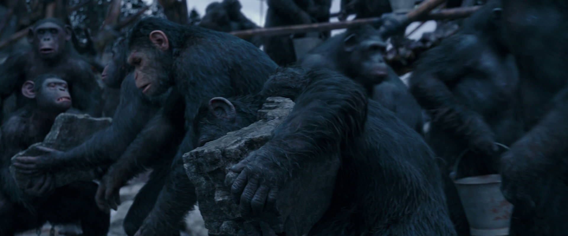 War for the Planet of the Apes (2017) HD screenshot 8075